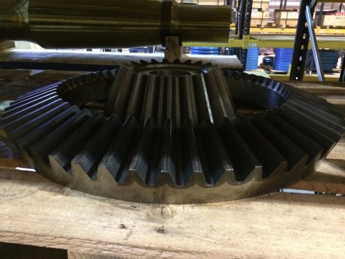 HP300 Drive gear 1036833869